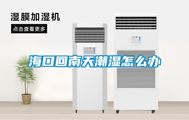 海口回南天潮湿怎么办
