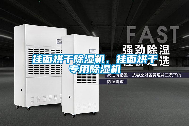 挂面烘干除湿机,挂面烘干专用除湿机