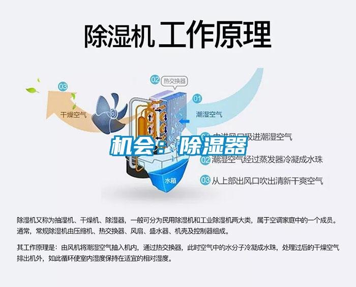 机会:除湿器
