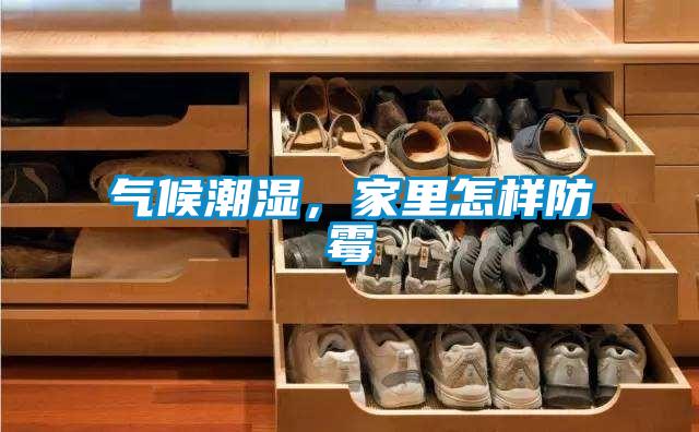 气候潮湿，家里怎样防霉