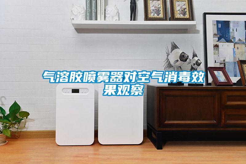 气溶胶喷雾器对空气消毒效果观察