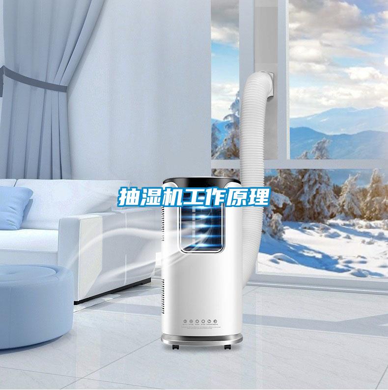 抽湿机工作原理