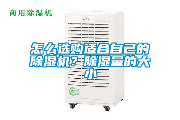怎么选购适合自己的除湿机？除湿量的大小