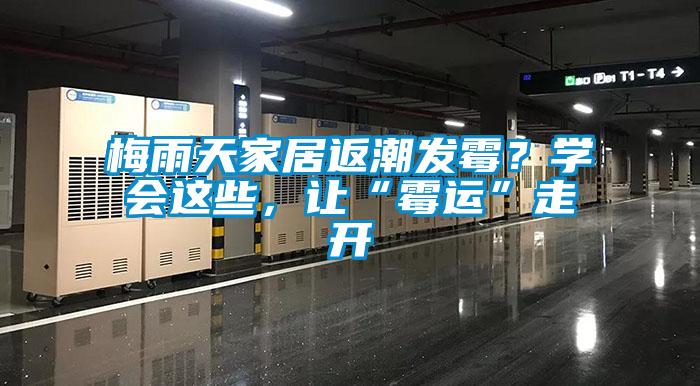 梅雨天家居返潮发霉？学会这些，让“霉运”走开