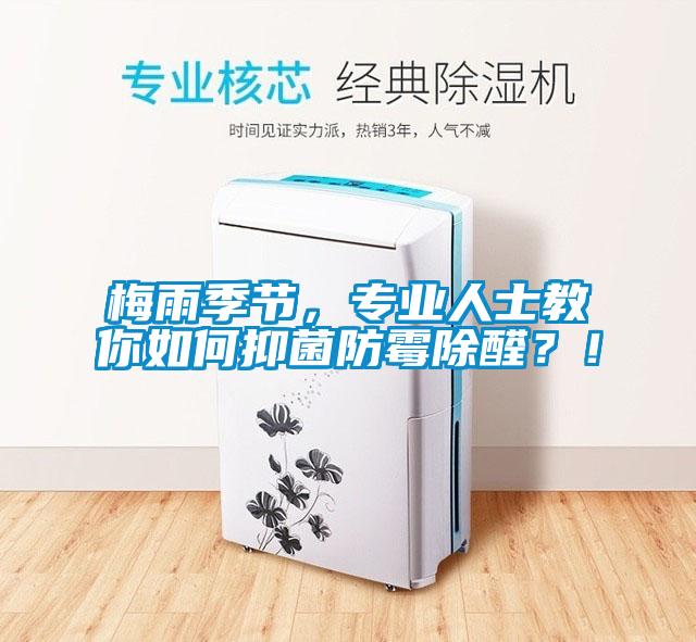 梅雨季节，专业人士教你如何抑菌防霉除醛？！