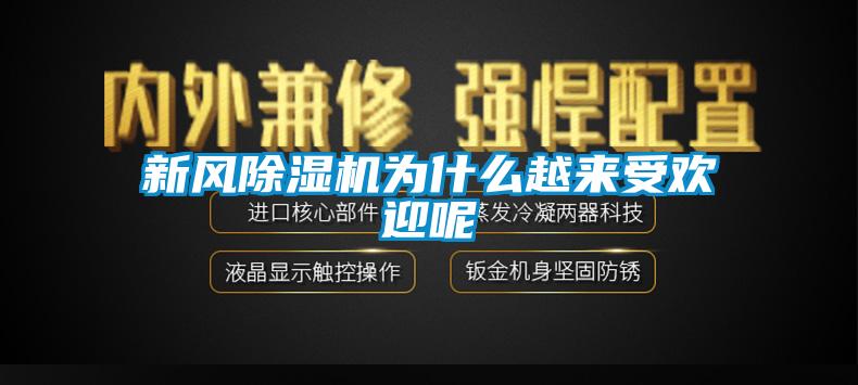 新风除湿机为什么越来受欢迎呢