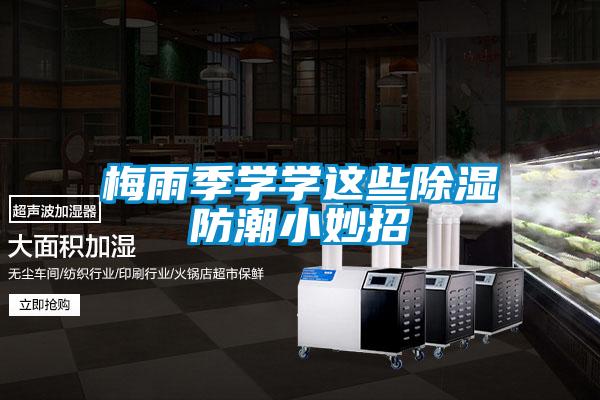 梅雨季学学这些除湿防潮小妙招