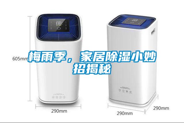 梅雨季，家居除湿小妙招揭秘