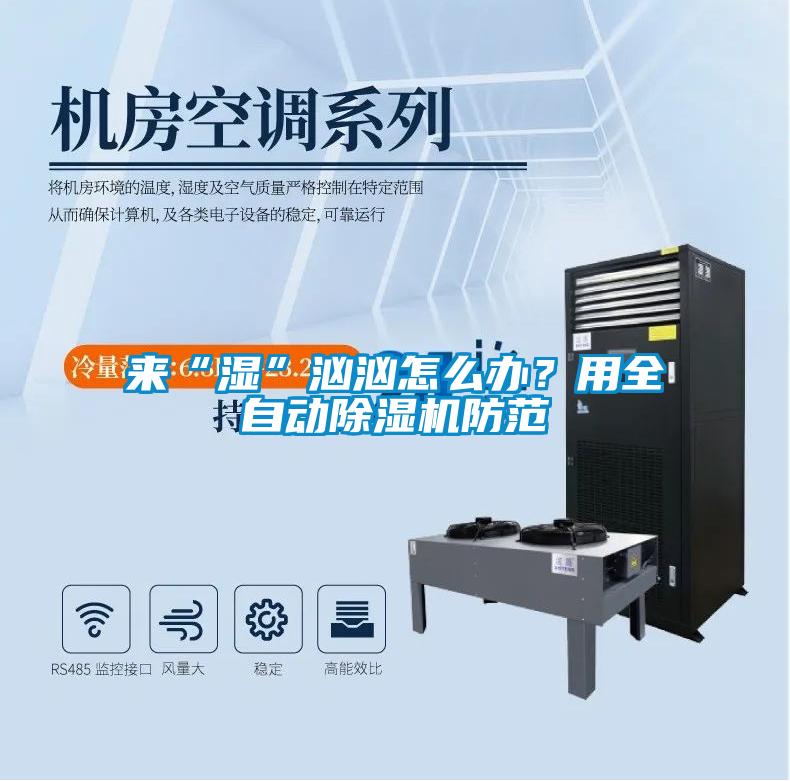 来“湿”汹汹怎么办？用全自动除湿机防范