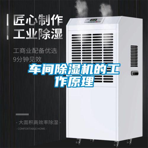 车间除湿机的工作原理