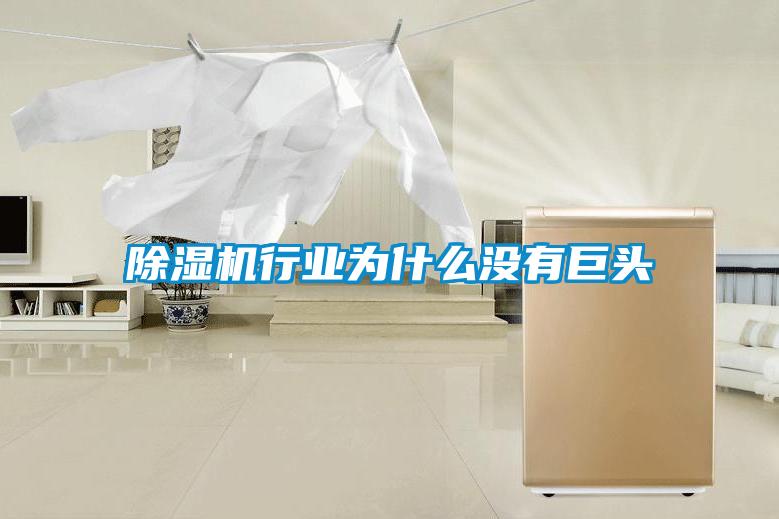 除湿机行业为什么没有巨头