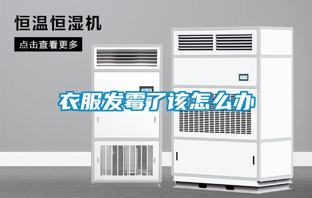 衣服发霉了该怎么办