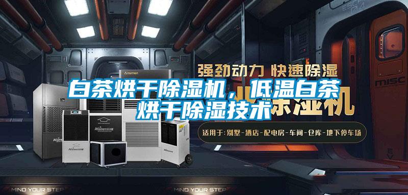 白茶烘干除湿机,低温白茶烘干除湿技术