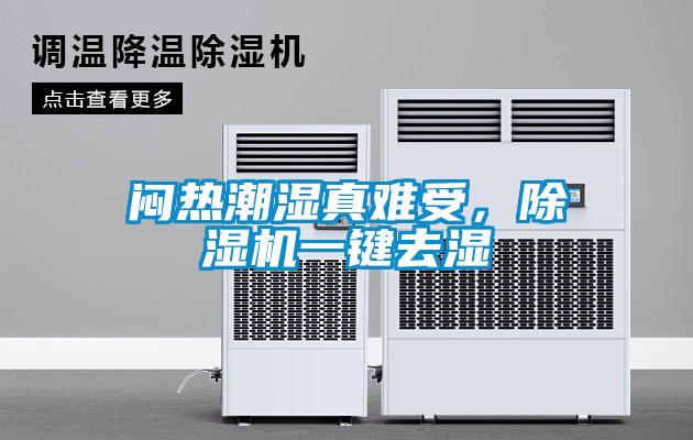 闷热潮湿真难受，除湿机一键去湿