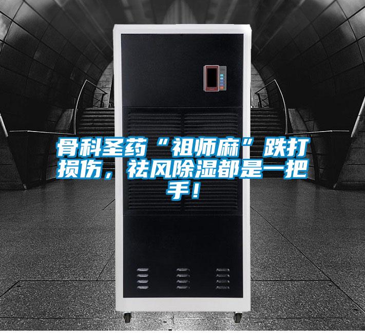 骨科圣药“祖师麻”跌打损伤，祛风除湿都是一把手！