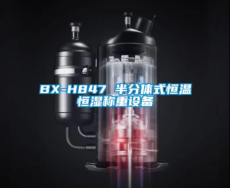 BX-H847 半分体式恒温恒湿称重设备