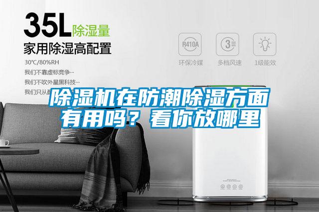 除湿机在防潮除湿方面有用吗？看你放哪里