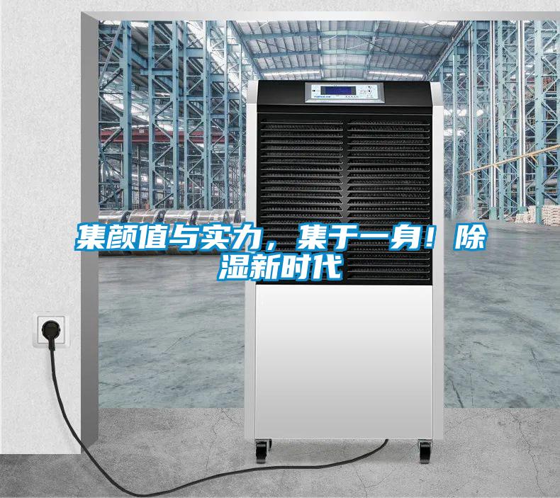 集颜值与实力，集于一身！除湿新时代