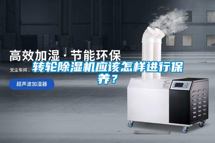 转轮除湿机应该怎样进行保养？