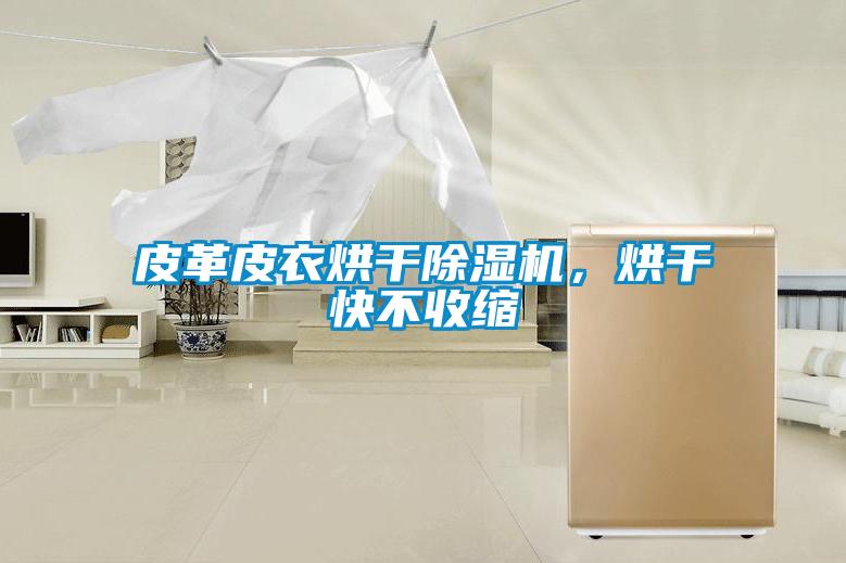 皮革皮衣烘干除湿机，烘干快不收缩