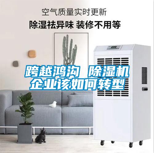 跨越鸿沟 除湿机企业该如何转型