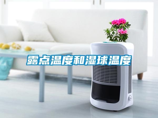 露点温度和湿球温度