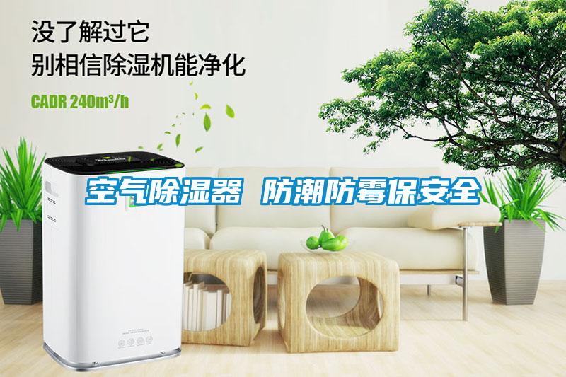 空气除湿器 防潮防霉保安全