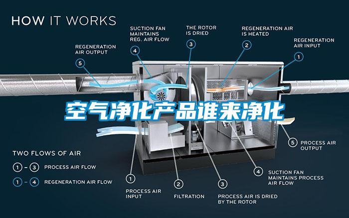 空气净化产品谁来净化