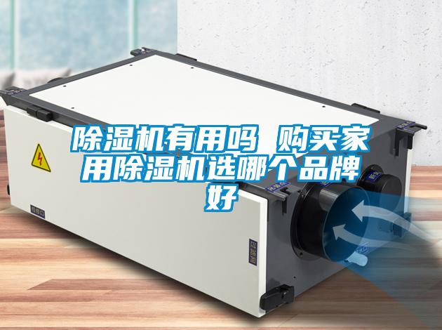 除湿机有用吗 购买家用除湿机选哪个品牌好