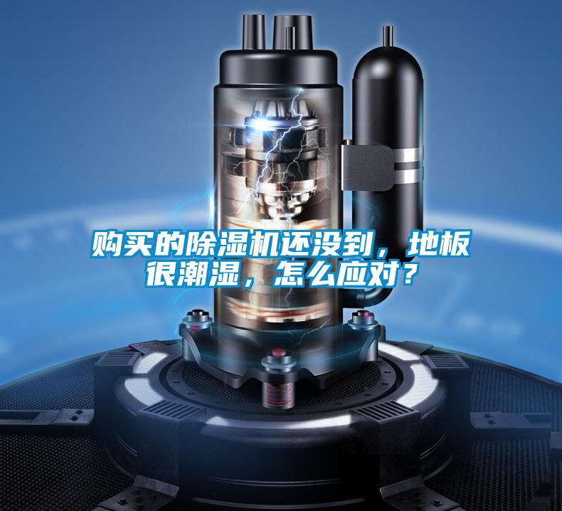 购买的除湿机还没到,地板很潮湿,怎么应对?