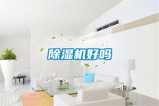 除湿机好吗