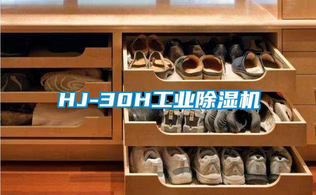 HJ-30H工业除湿机