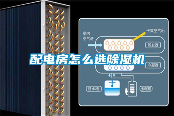 配电房怎么选除湿机