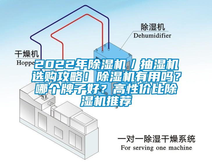 2022年除湿机／抽湿机选购攻略！除湿机有用吗？哪个牌子好？高性价比除湿机推荐