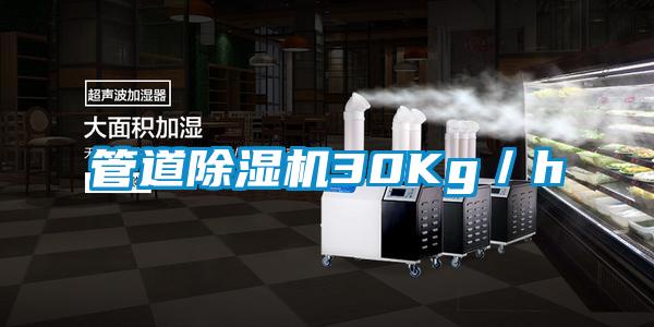 管道除湿机30Kg／h