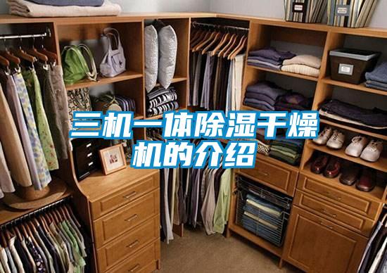 三机一体除湿干燥机的介绍