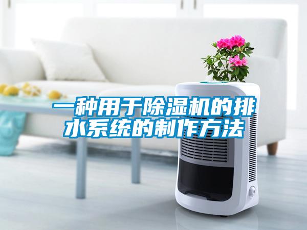 一种用于除湿机的排水系统的制作方法