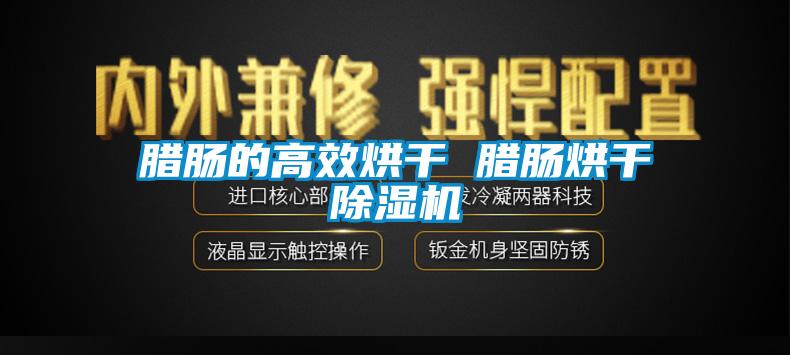 腊肠的高效烘干 腊肠烘干除湿机
