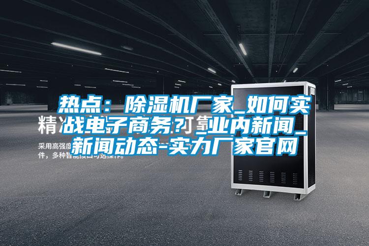 热点：除湿机厂家_如何实战电子商务？_业内新闻_新闻动态-实力厂家官网