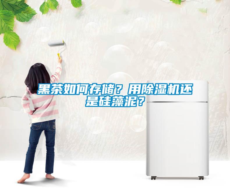 黑茶如何存储？用除湿机还是硅藻泥？