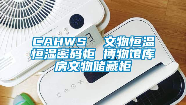 CAHWS  文物恒温恒湿密码柜 博物馆库房文物储藏柜