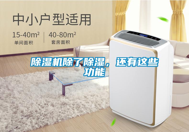 除湿机除了除湿,还有这些功能