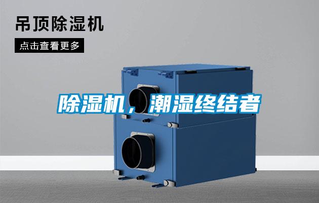 除湿机，潮湿终结者