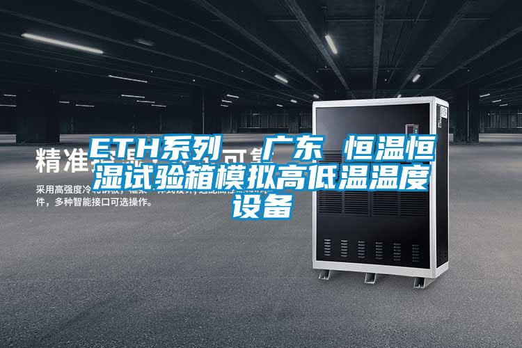 ETH系列  广东 恒温恒湿试验箱模拟高低温温度设备