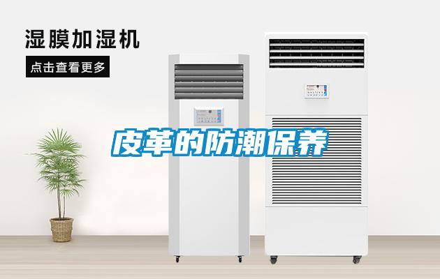 皮革的防潮保养
