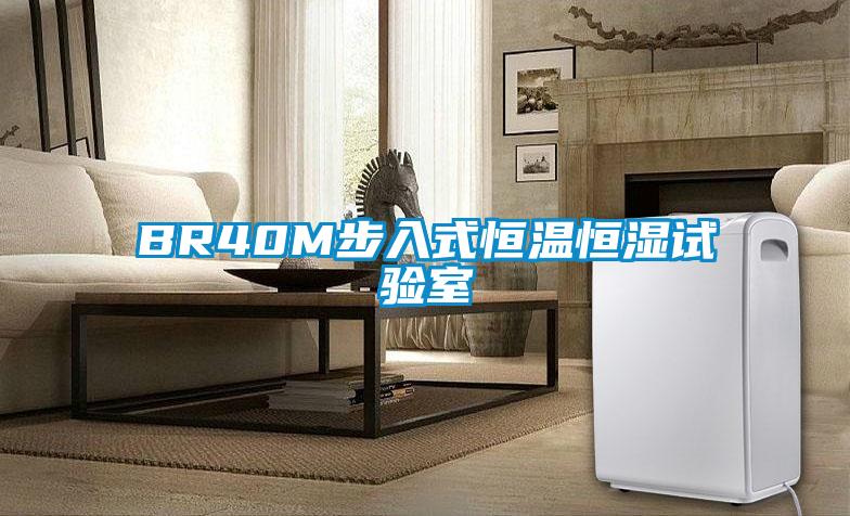 BR40M步入式恒温恒湿试验室