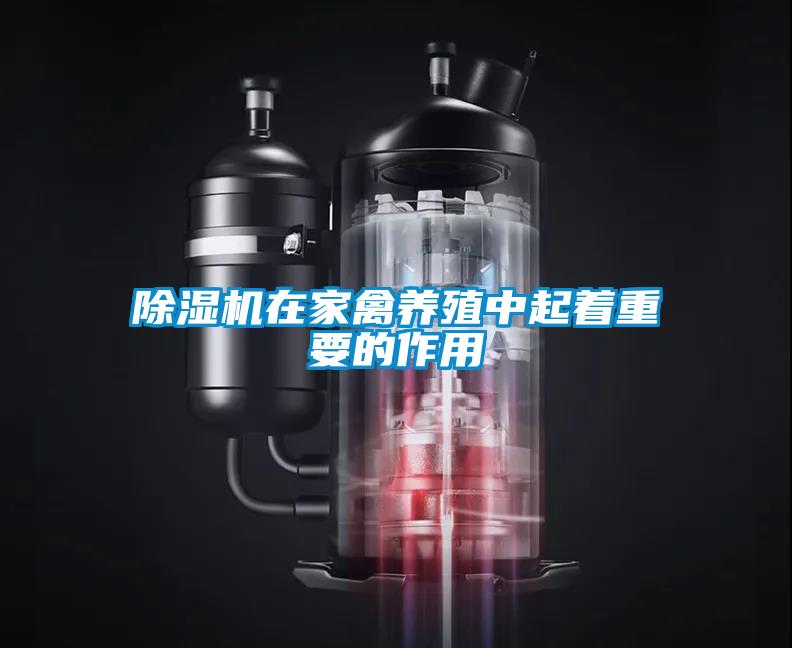 除湿机在家禽养殖中起着重要的作用