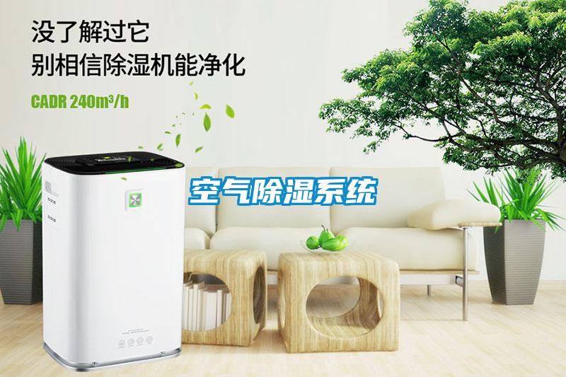 空气除湿系统