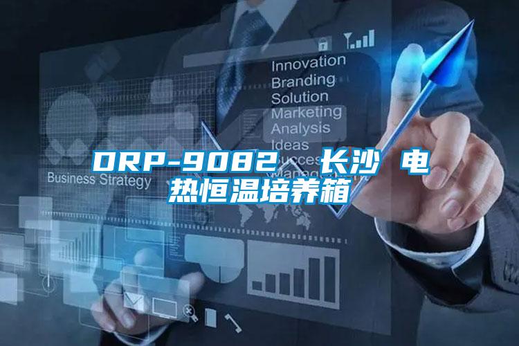 DRP-9082  长沙 电热恒温培养箱