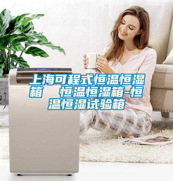 上海可程式恒温恒湿箱  恒温恒湿箱-恒温恒湿试验箱